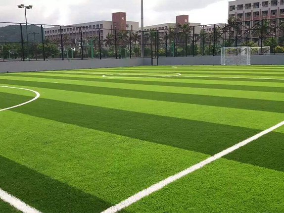 足球场草坪